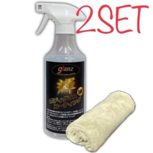 簡単多用途 コーティングスプレー 輝 500ml 高級ネルウエス付き 2本セット