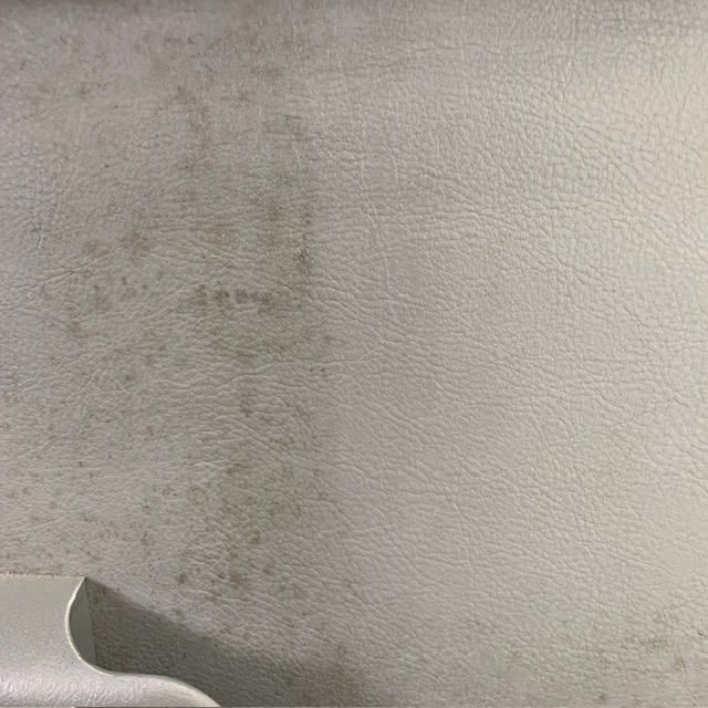 アルカリ電解水でカビを除去で様子様子