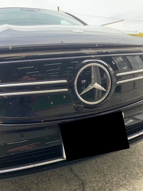 虫がたくさんふちゃくしたバンパー