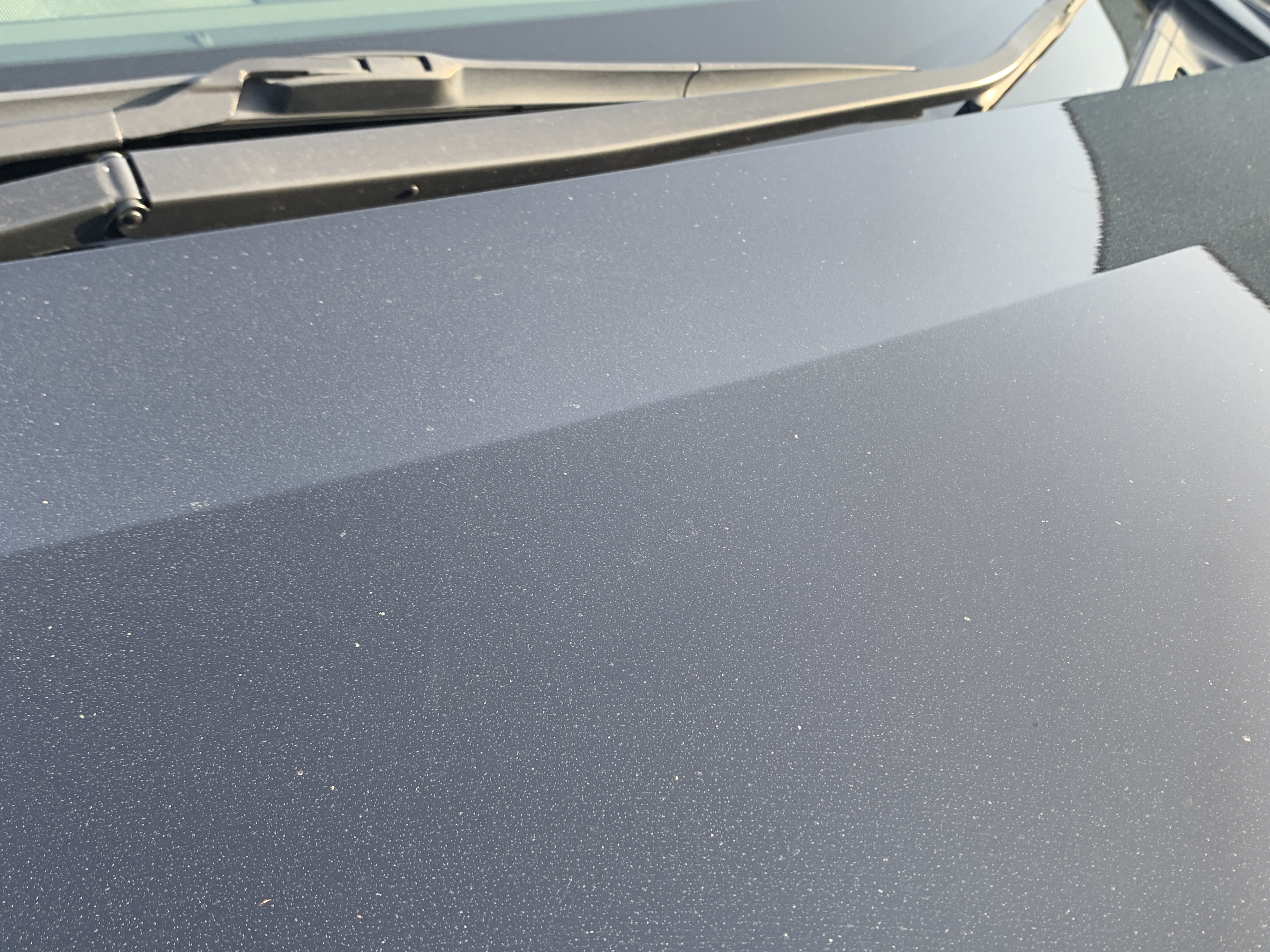 ボディーに花粉が付着した様子